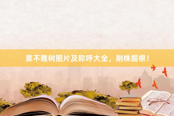 景不雅树图片及称呼大全，削株掘根！