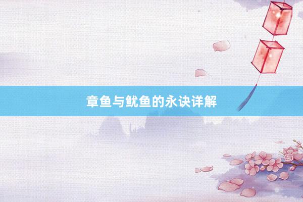 章鱼与鱿鱼的永诀详解